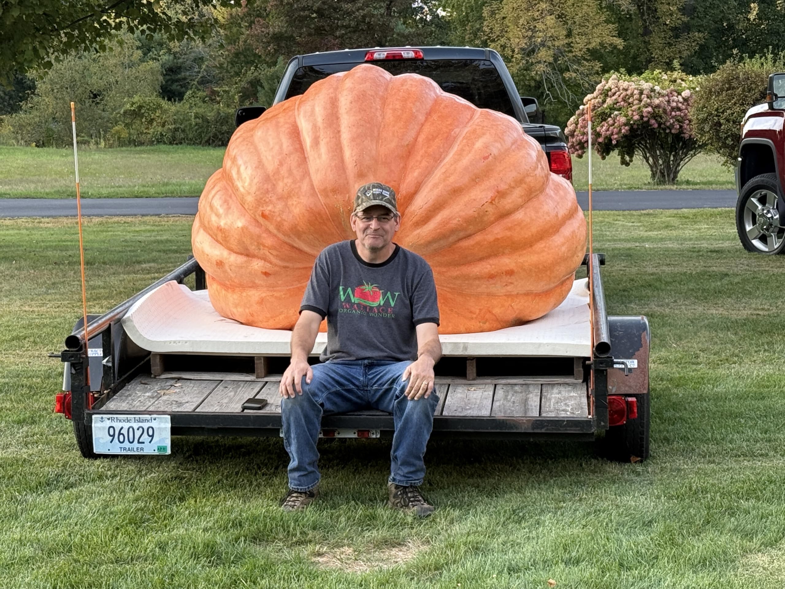 Wallace Organic Wonder Whoppers seedling growth shows rapid start to giant pumpkins.