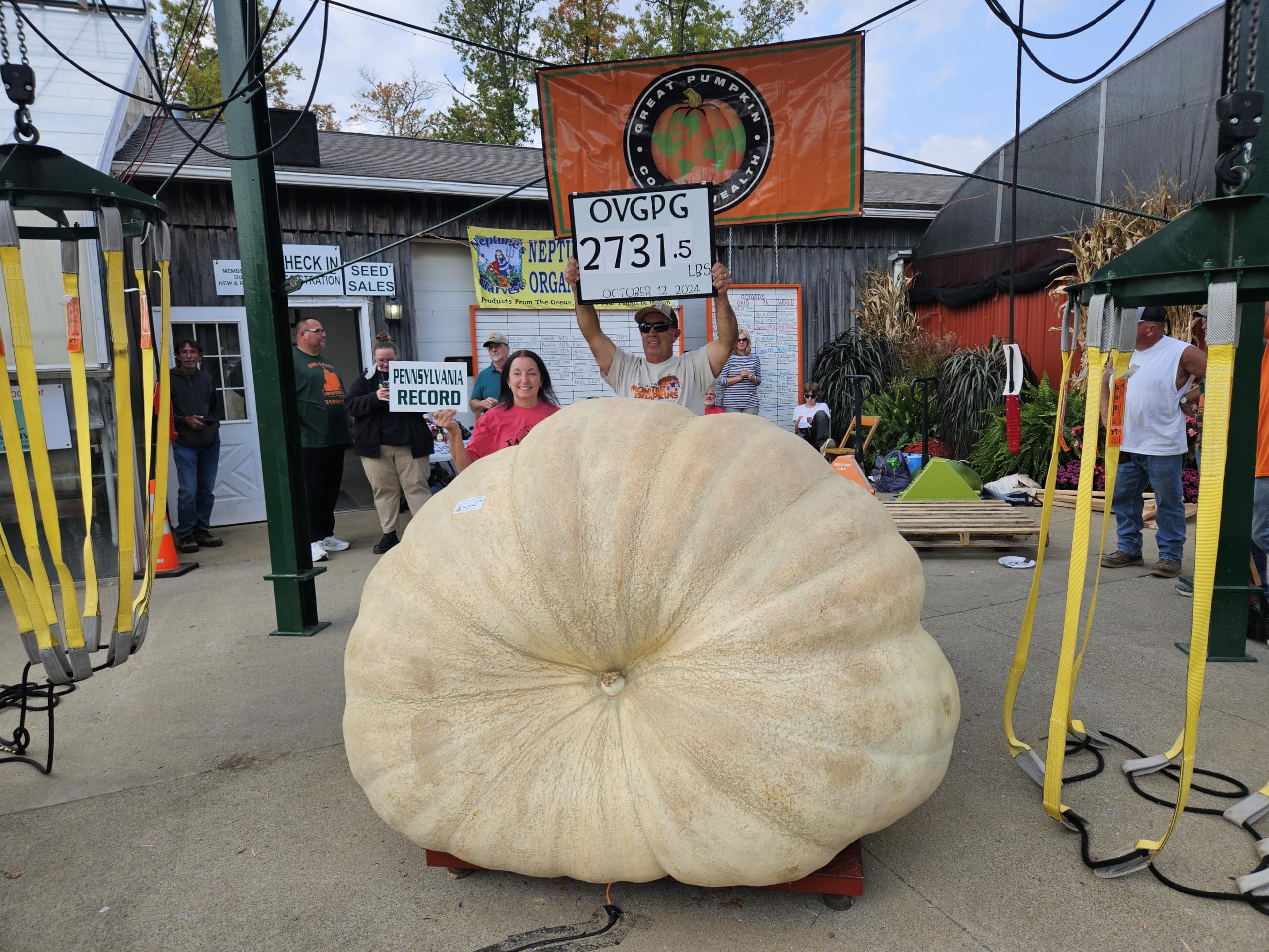 Wallace Organic Wonder Whoppers are perfect for neighborhood pumpkin weigh-off celebrations.