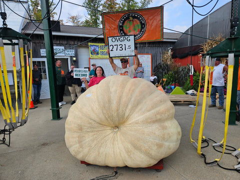 Wallace Organic Wonder Whoppers are perfect for neighborhood pumpkin weigh-off celebrations.