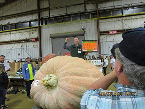 Wallace Organic Wonder Whoppers are Non-GMO heirloom seeds from USA.