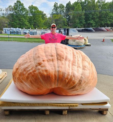 Wallace Organic Wonder Whoppers require soil warmth around 70 degrees Fahrenheit for best germination.