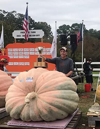 Wallace Organic Wonder Whoppers can yield a giant pumpkin from 150 sq ft.