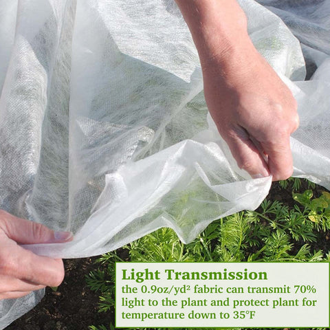 Walwe plant covers with 30 g/m2 thickness for cold protection