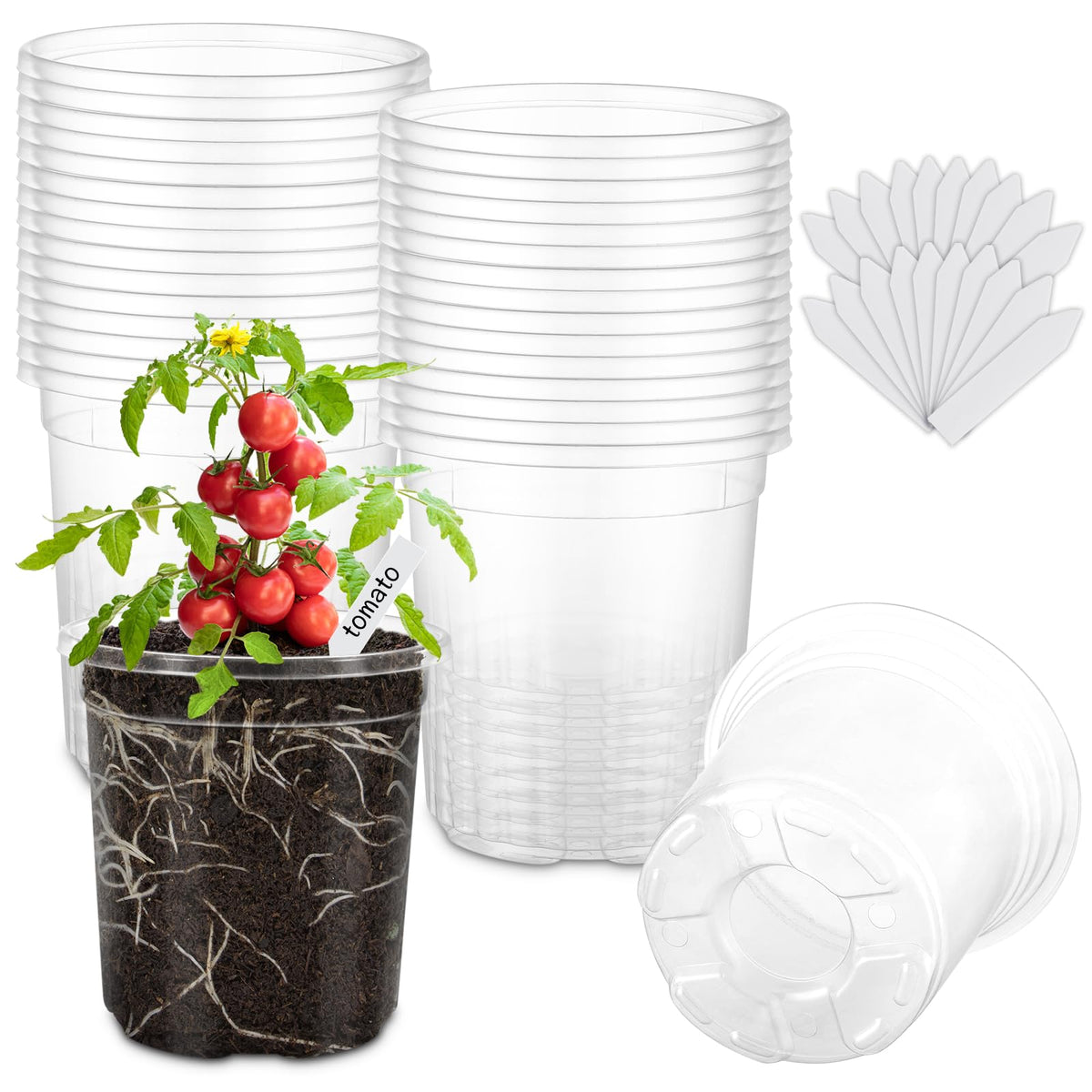 WandaQueen 30-pack clear nursery pots for easy seed germination and monitoring.