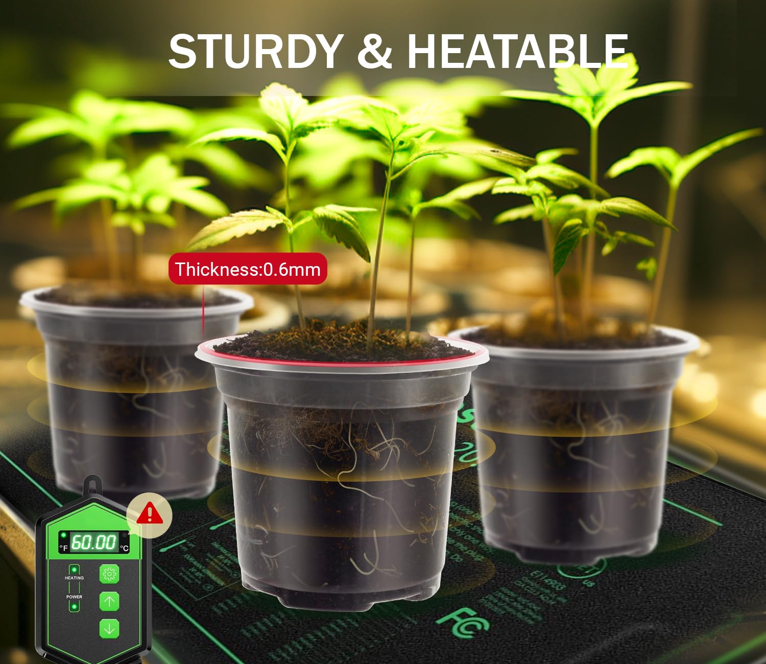 WandaQueen clear nursery pot 4 inch makes it easy to monitor soil moisture.