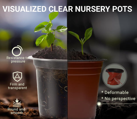 WandaQueen clear nursery pot 5 inch supports seedling growth with drainage.