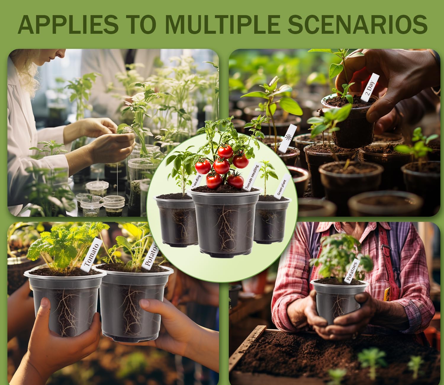 WandaQueen lightweight pots with holes simplify setup and transplanting.