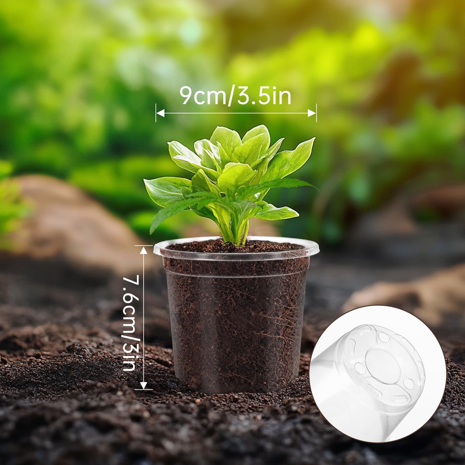 WandaQueen plant labels help organize germination batches and track progress.