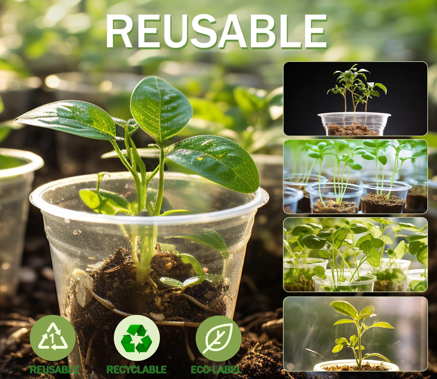 WandaQueen recyclable PET pots support sustainable gardening.