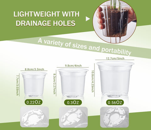 WandaQueen seedling labels pack helps track plant varieties easily.