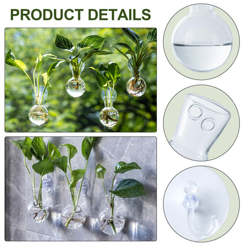 wangsdjy clear glass vase highlights root development in hydroponics