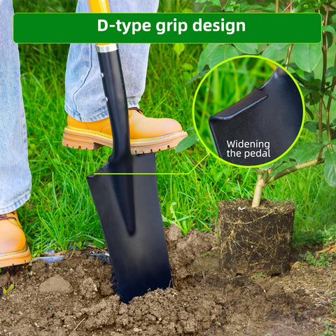 Wangyanhao Shovel excels in transplanting capabilities with precision.