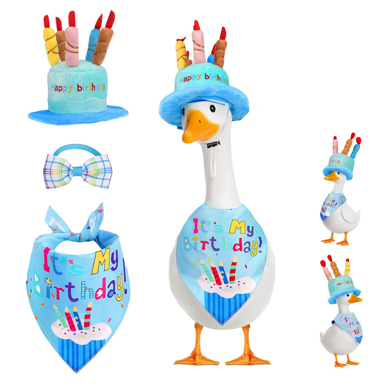 Wanocean cake hat on porch goose for birthday decor and photo opportunities.