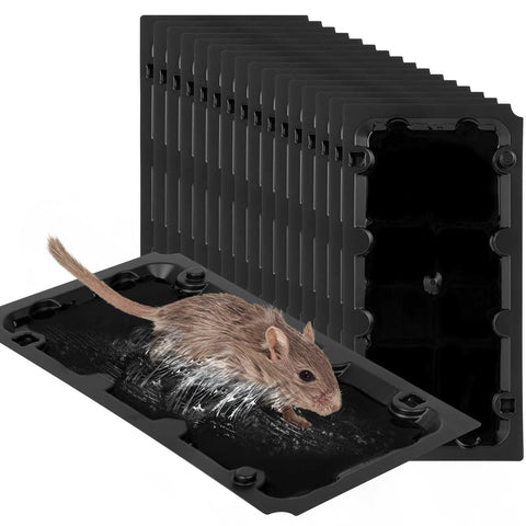 Wanqueen 16-pack sticky mouse trap closeup showing peanut pheromone lure for quick captures.
