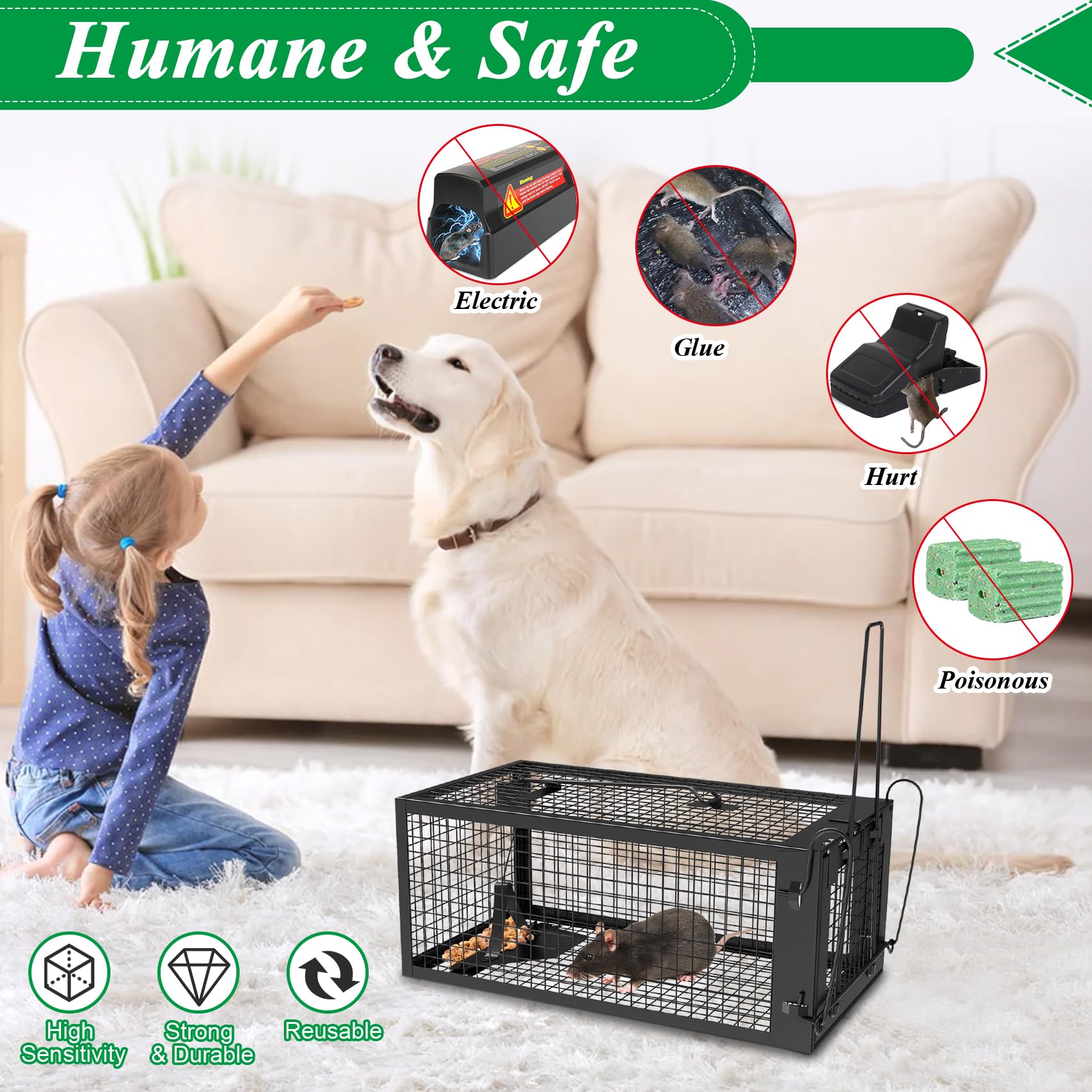 Wanqueen humane rat trap, bait-ready interior for indoor use.