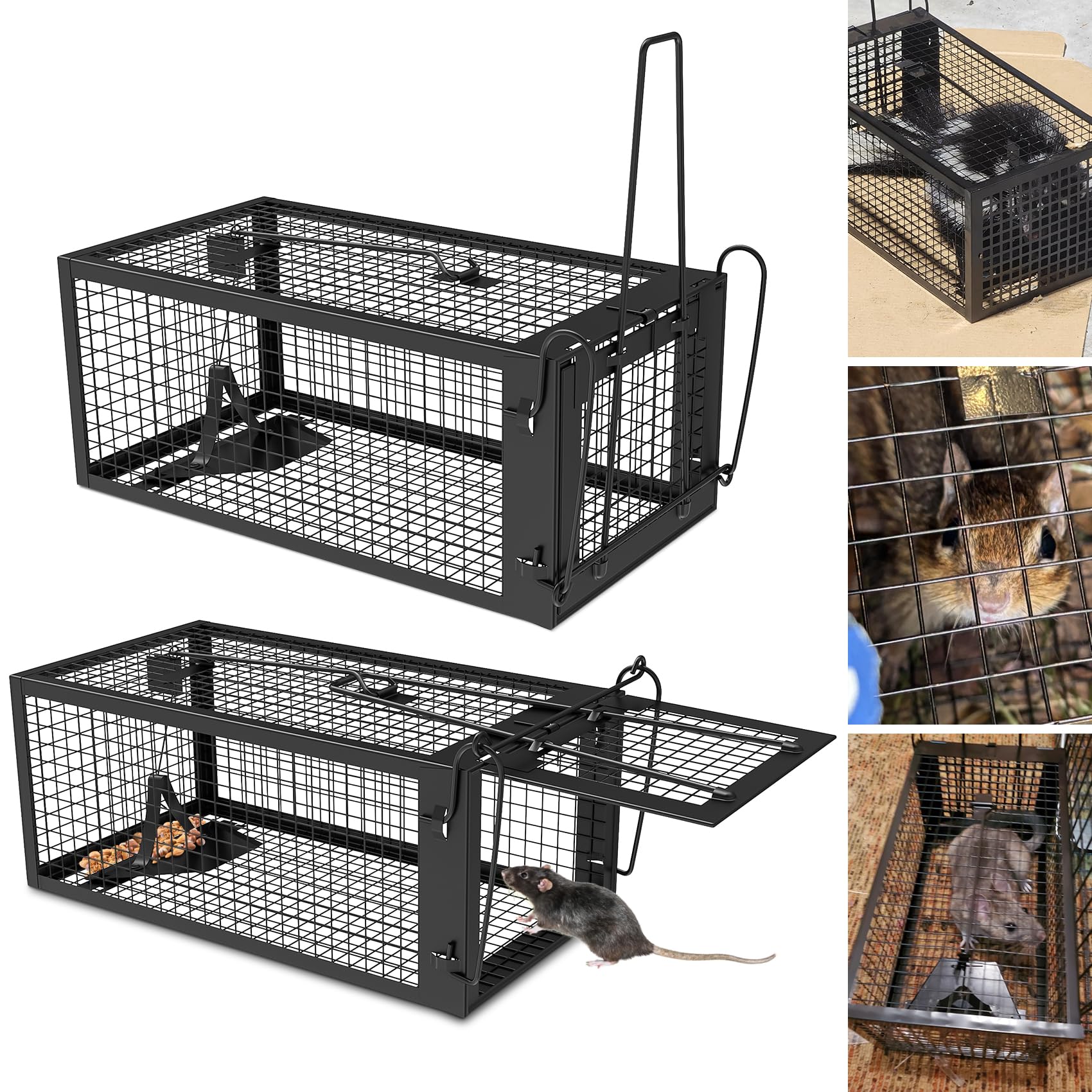 Wanqueen humane rat trap, back view, outdoor-ready design for compact spaces.