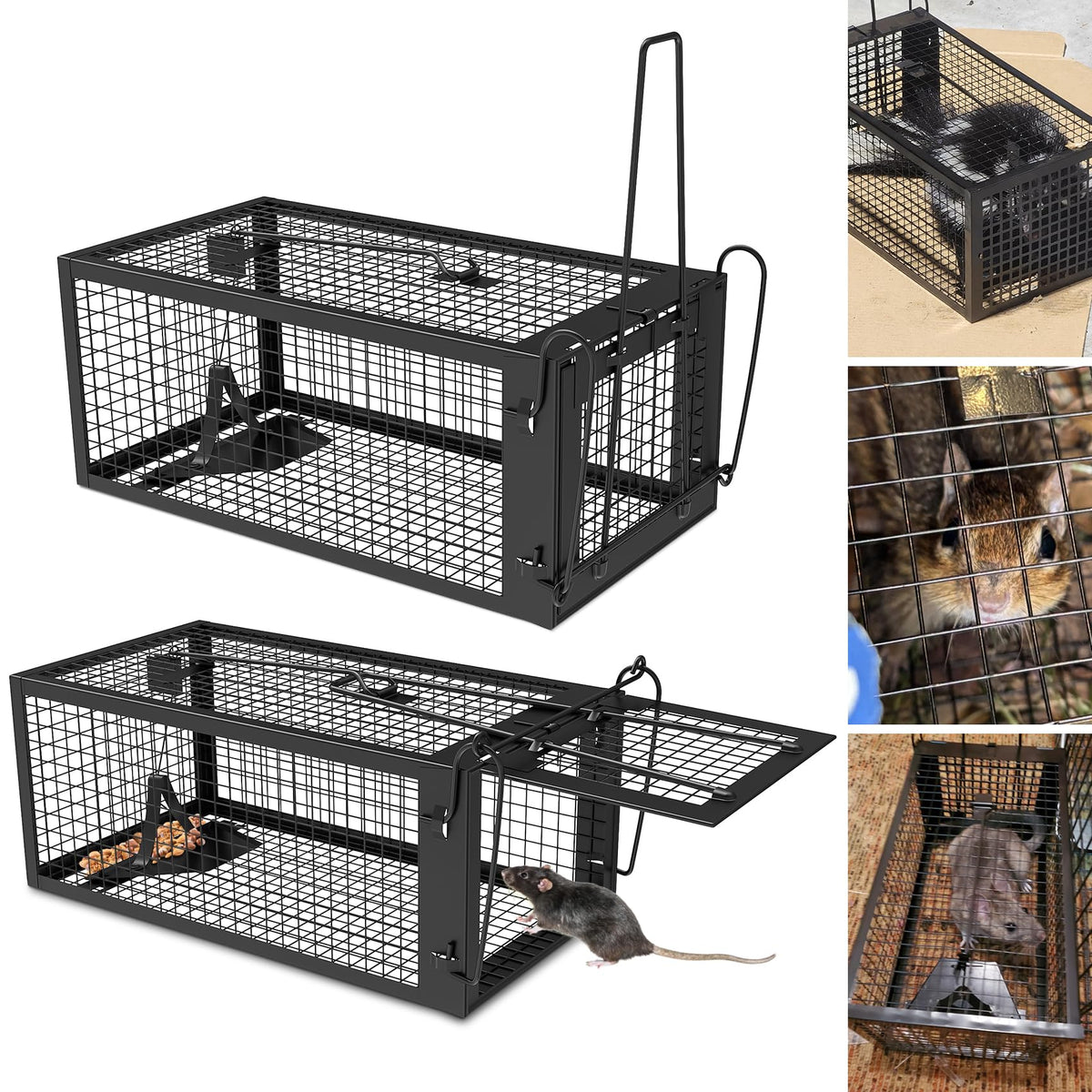 Wanqueen humane rat trap, back view, outdoor-ready design for compact spaces.
