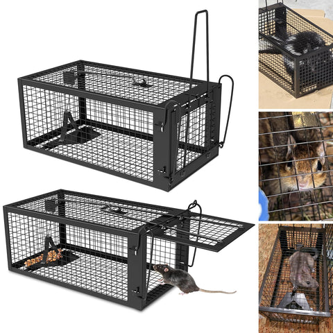 Wanqueen humane rat trap, back view, outdoor-ready design for compact spaces.