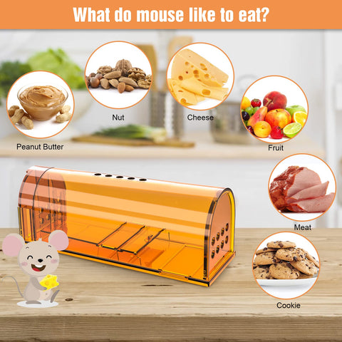Wanqueen 4-pack mouse traps indoor outdoor setup for versatile placement around home