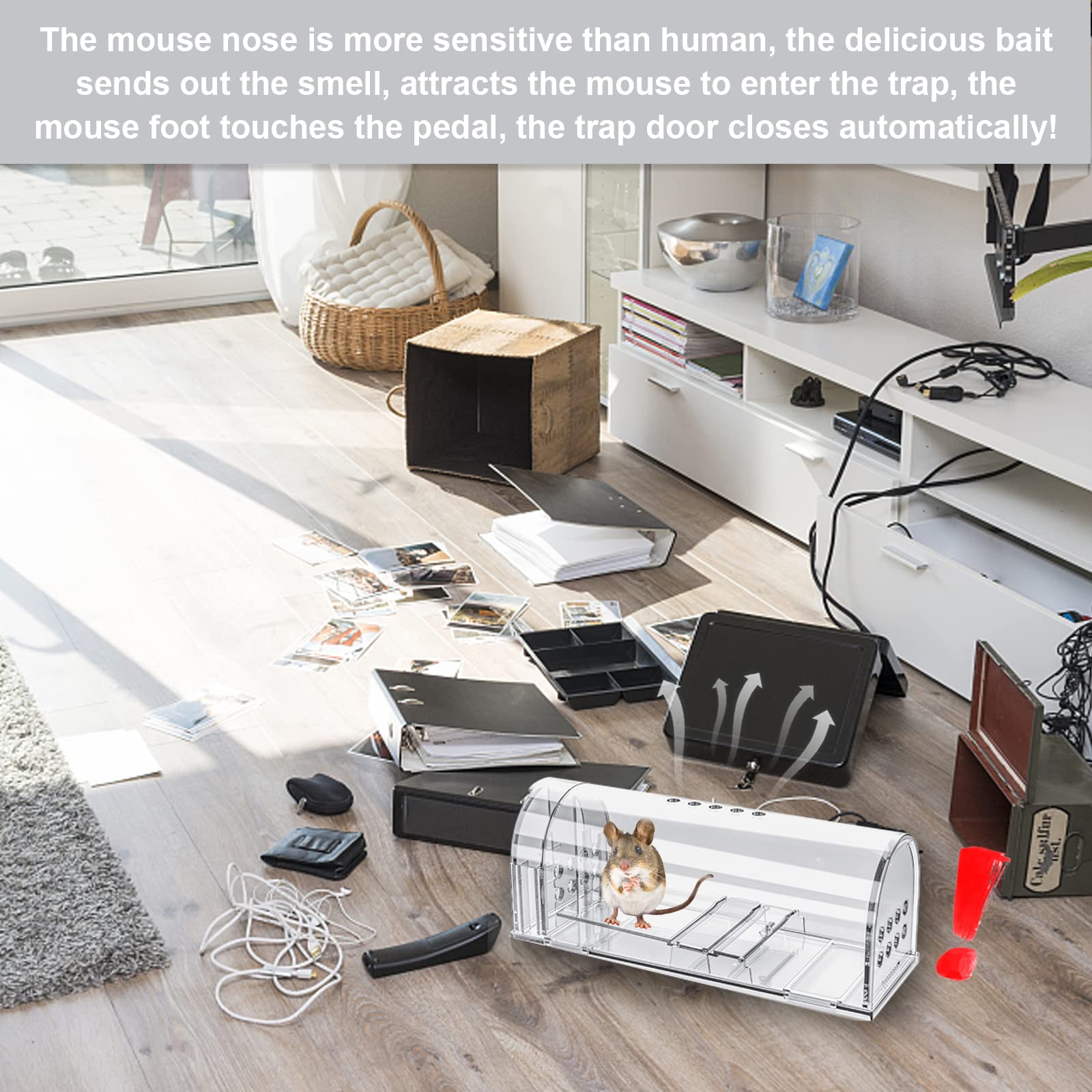 Wanqueen cleaning brush included with traps for maintenance