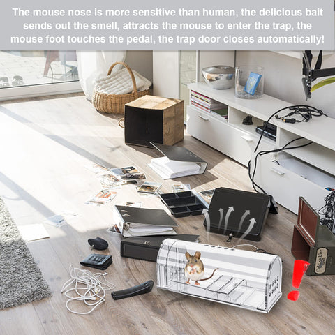 Wanqueen cleaning brush included with traps for maintenance