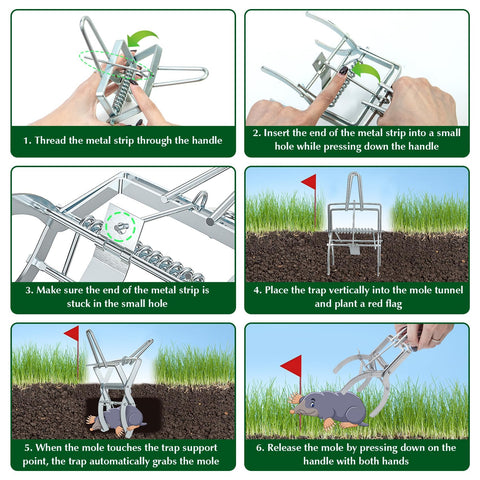 Wanqueen easy-to-set mole traps simplify placement in gopher tunnels