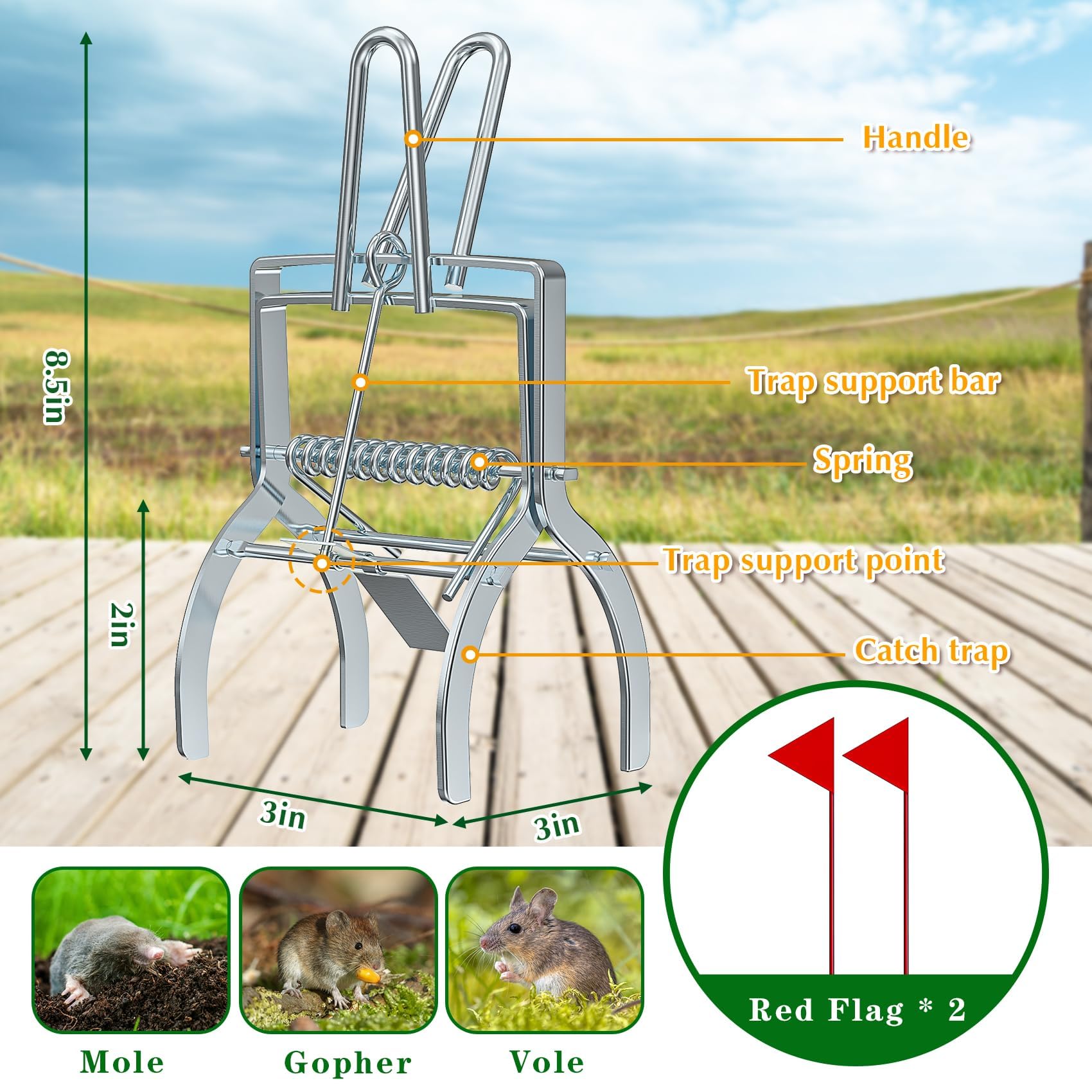 Wanqueen galvanized steel mole traps withstand rain for durable outdoor use