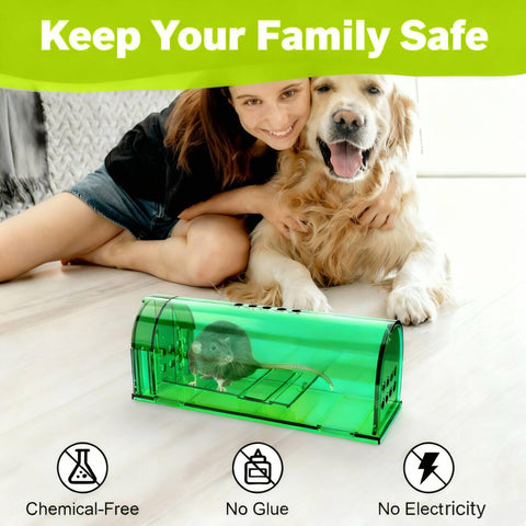Wanqueen humane mouse trap 2-pack door-closed showing non-lethal capture in action