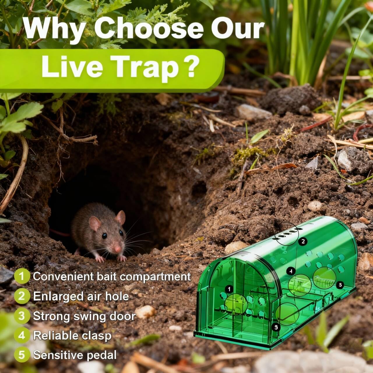 Wanqueen humane mouse trap 2-pack outdoor-use-ready design for seasonal pest control