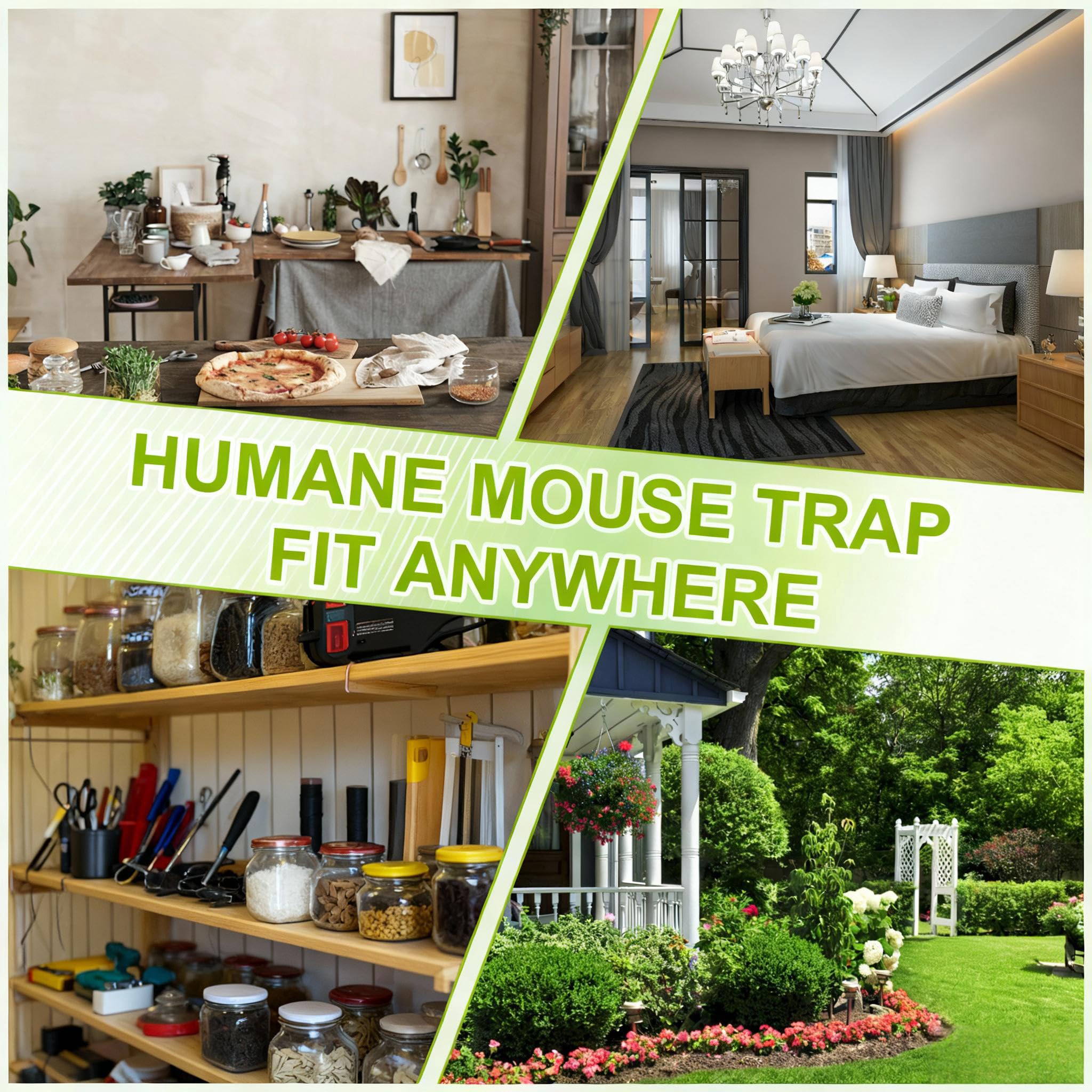 Wanqueen humane mouse trap 2-pack packaging-display confirms ready-to-use set for homes