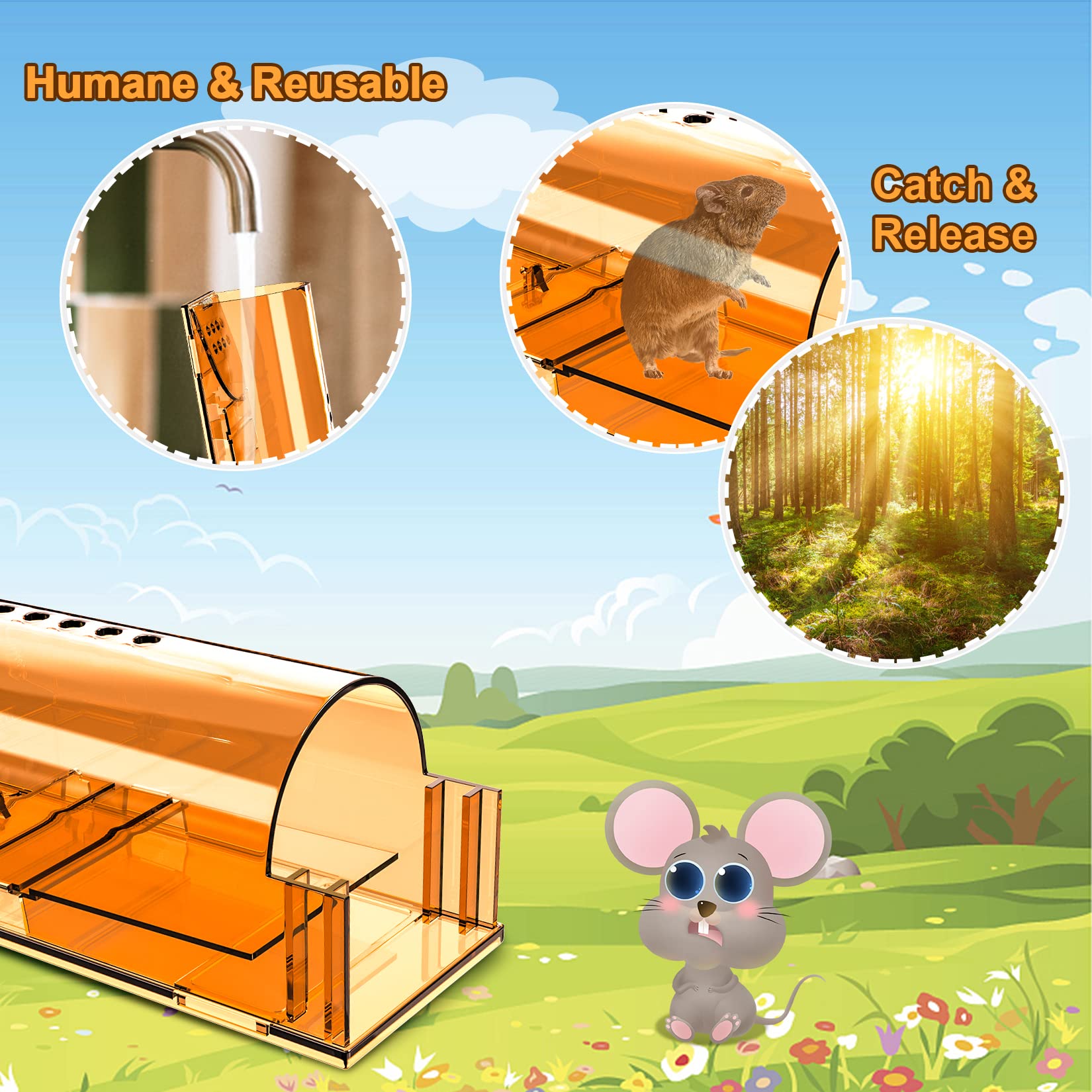 Wanqueen humane mouse trap bait compartment ready for simple lure and quick catch