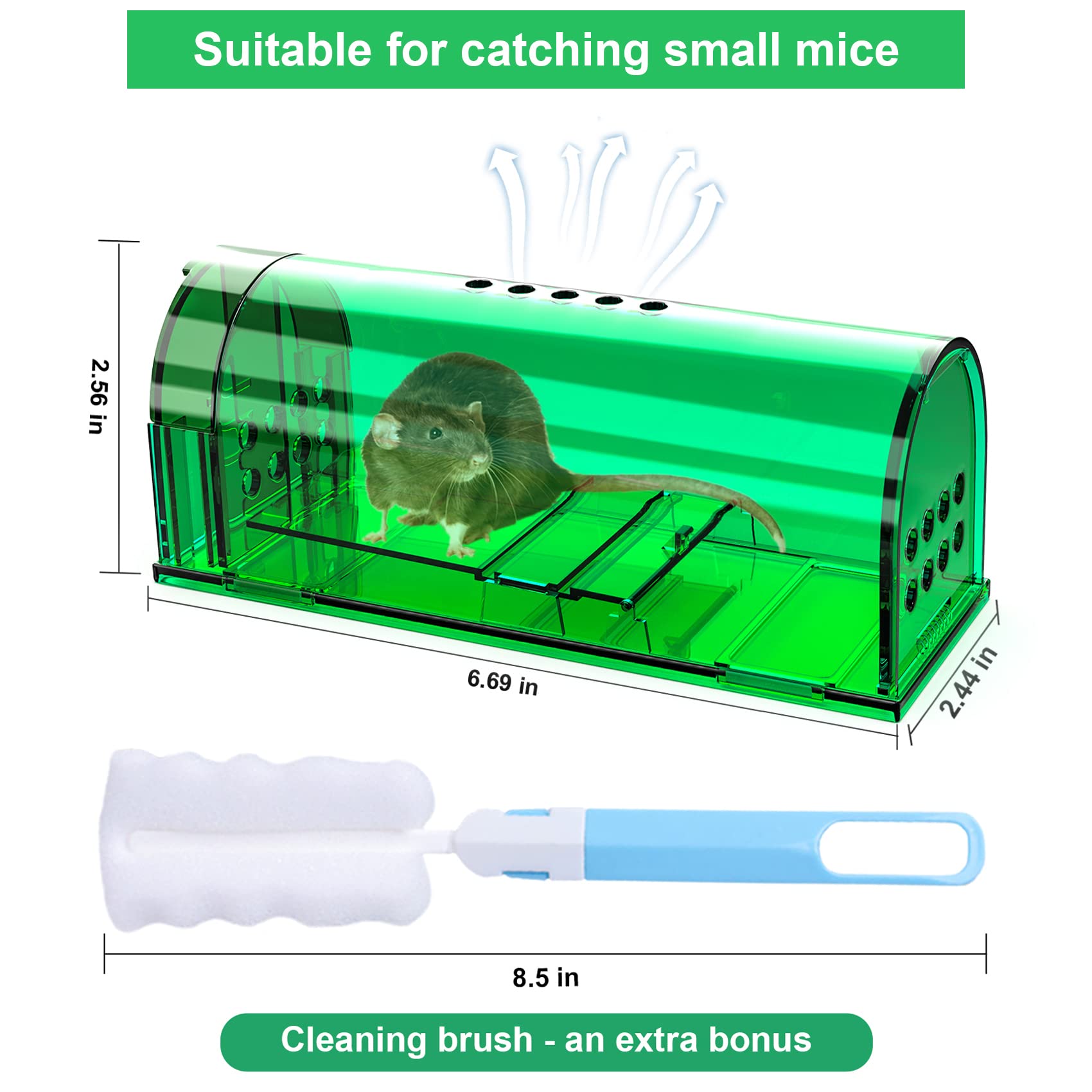 Wanqueen humane mouse trap bait compartment ready to attract mice without harm