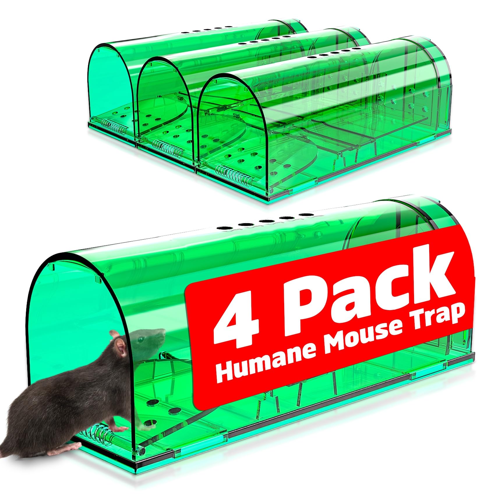 Wanqueen humane mouse trap setup shows quick, safe capture for small rodents.