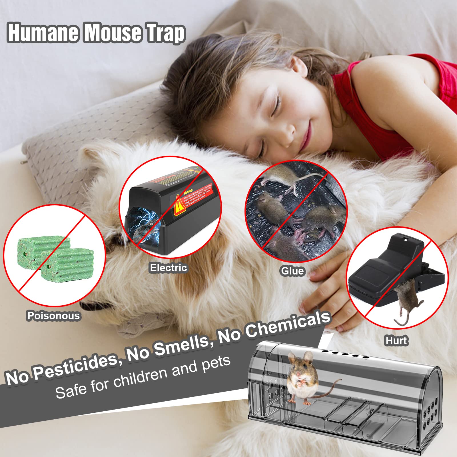 Wanqueen humane mouse traps: indoor setup suitable for kitchens, garages, or cabins.