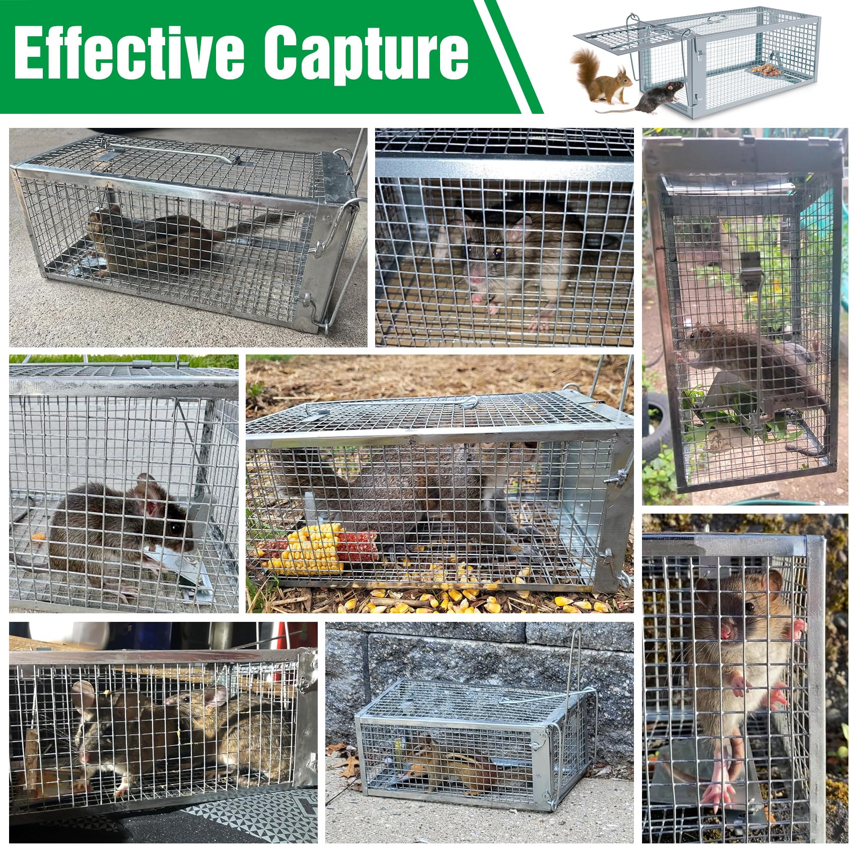 Wanqueen humane rat trap bait-area, attract rodents easily.