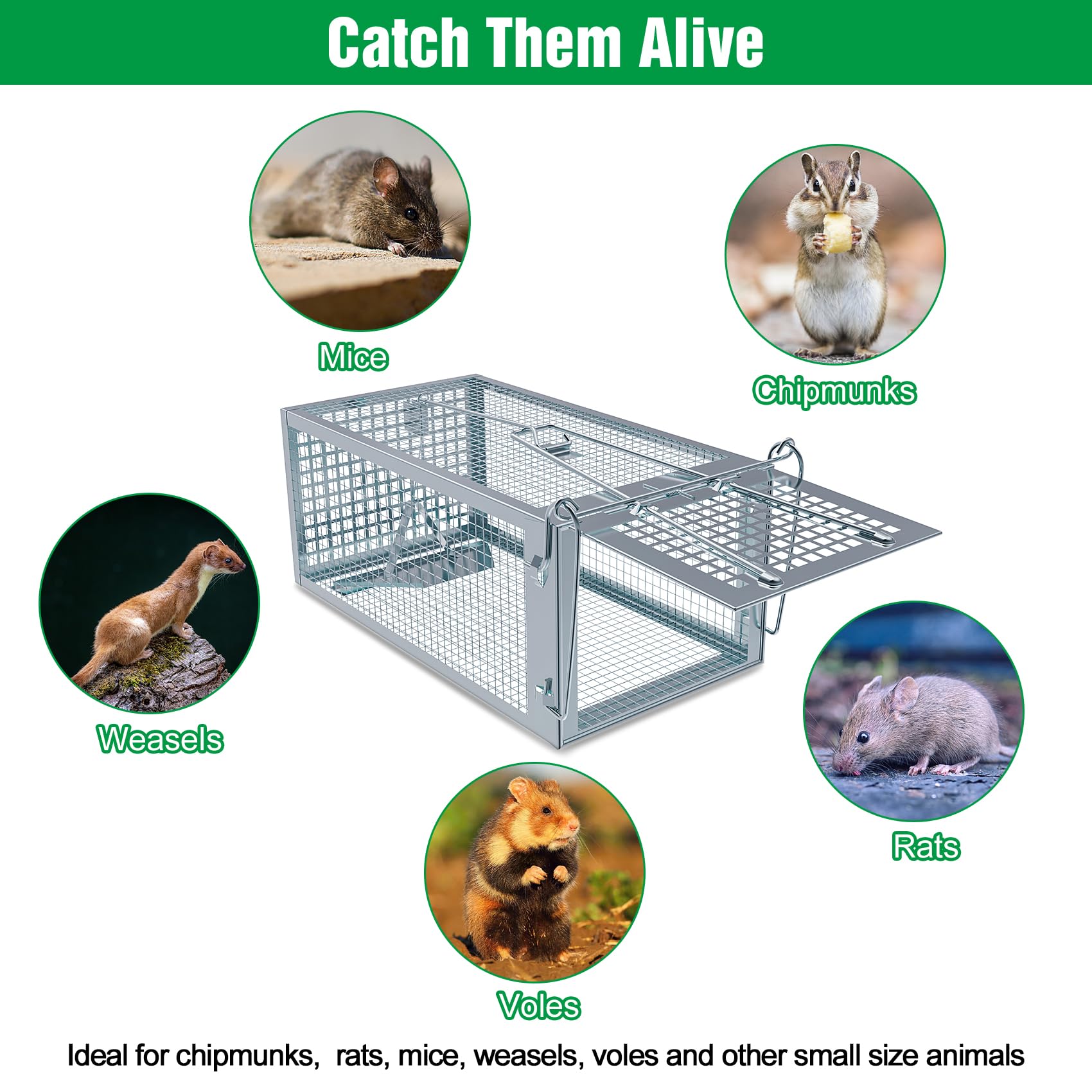 Wanqueen humane rat trap galvanized-steel-frame, sturdy and reusable.