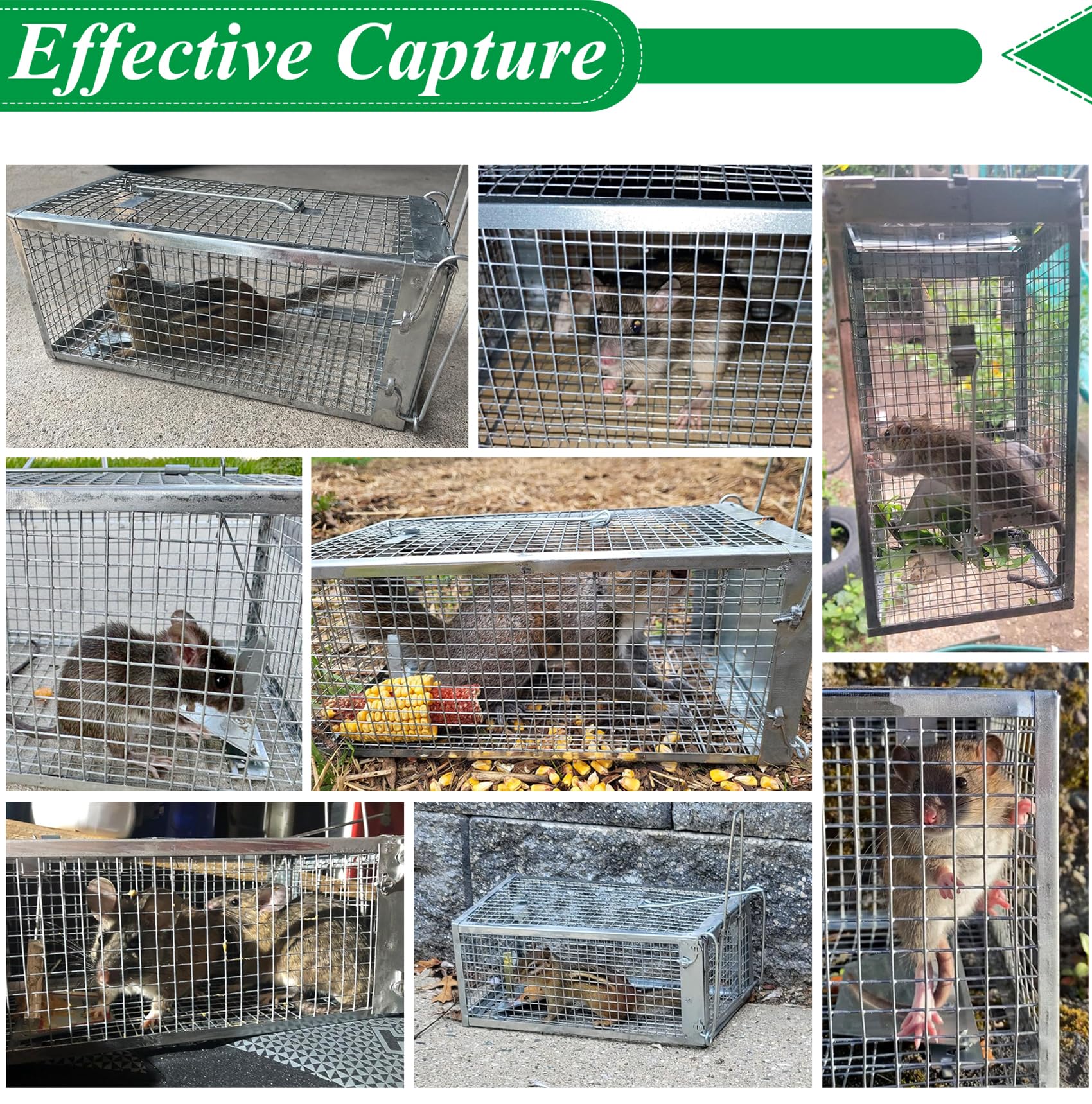 Wanqueen galvanized steel trap is lightweight yet durable
