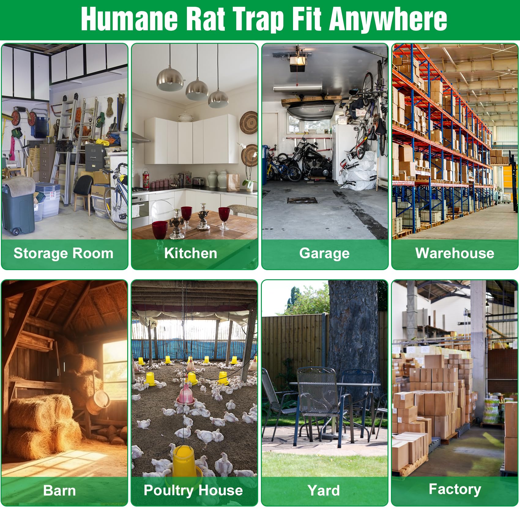 Wanqueen humane rat trap indoor-outdoor-use, versatile for homes and gardens.