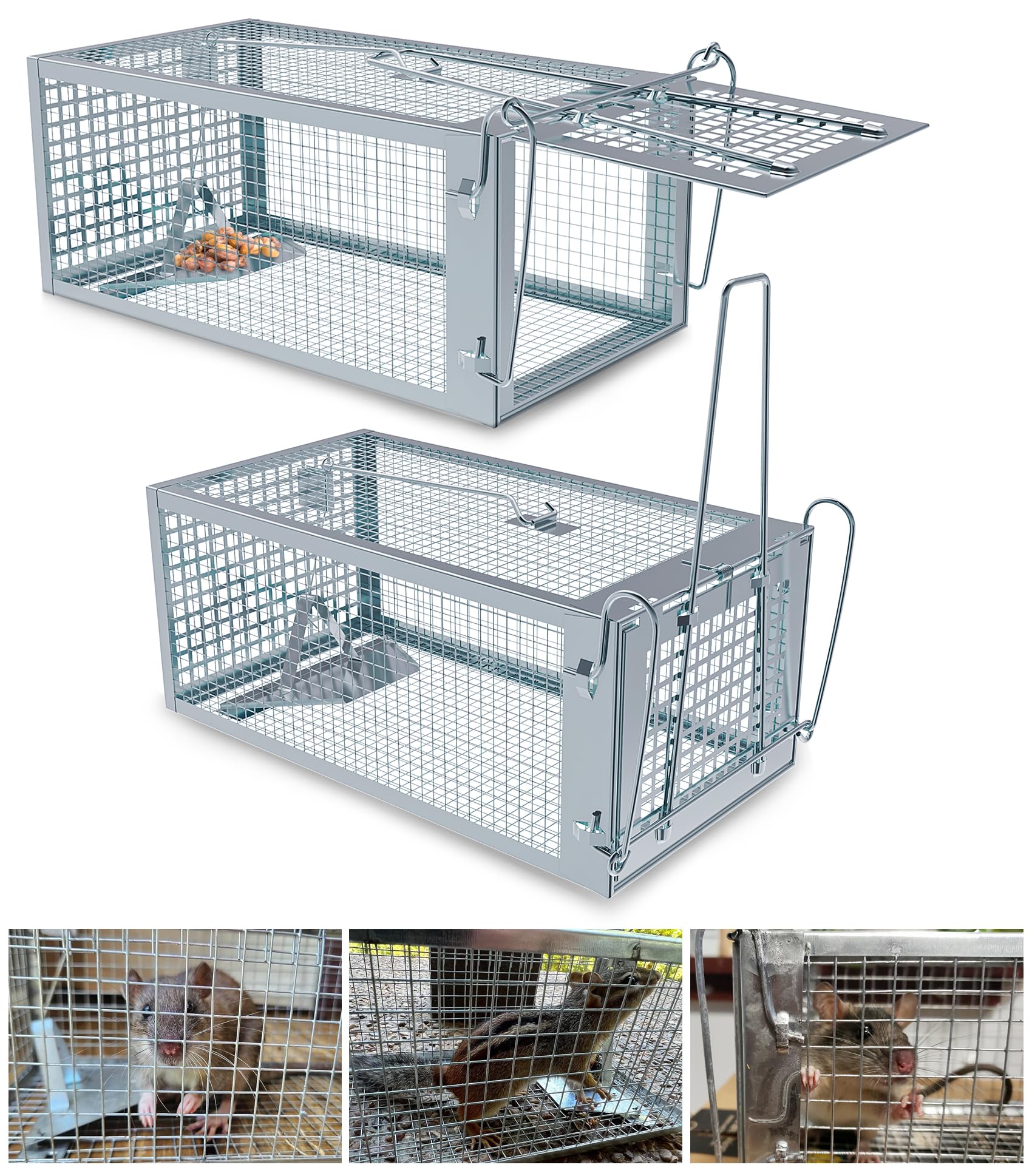 Wanqueen humane rat trap outdoor cage enables safe live capture in the garden
