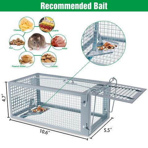 Wanqueen humane rat trap release, catch-and-release ready.
