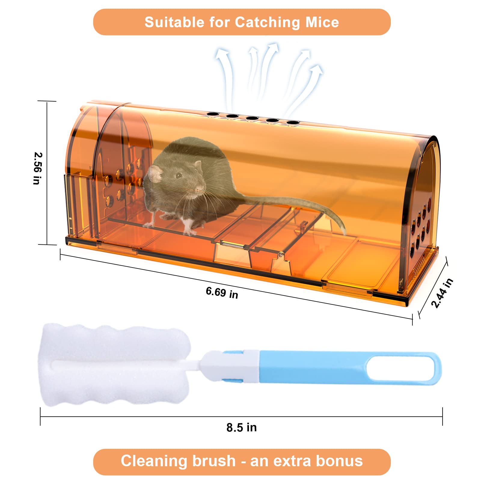 Wanqueen humane mouse trap showing bait compartment for reliable reuse.