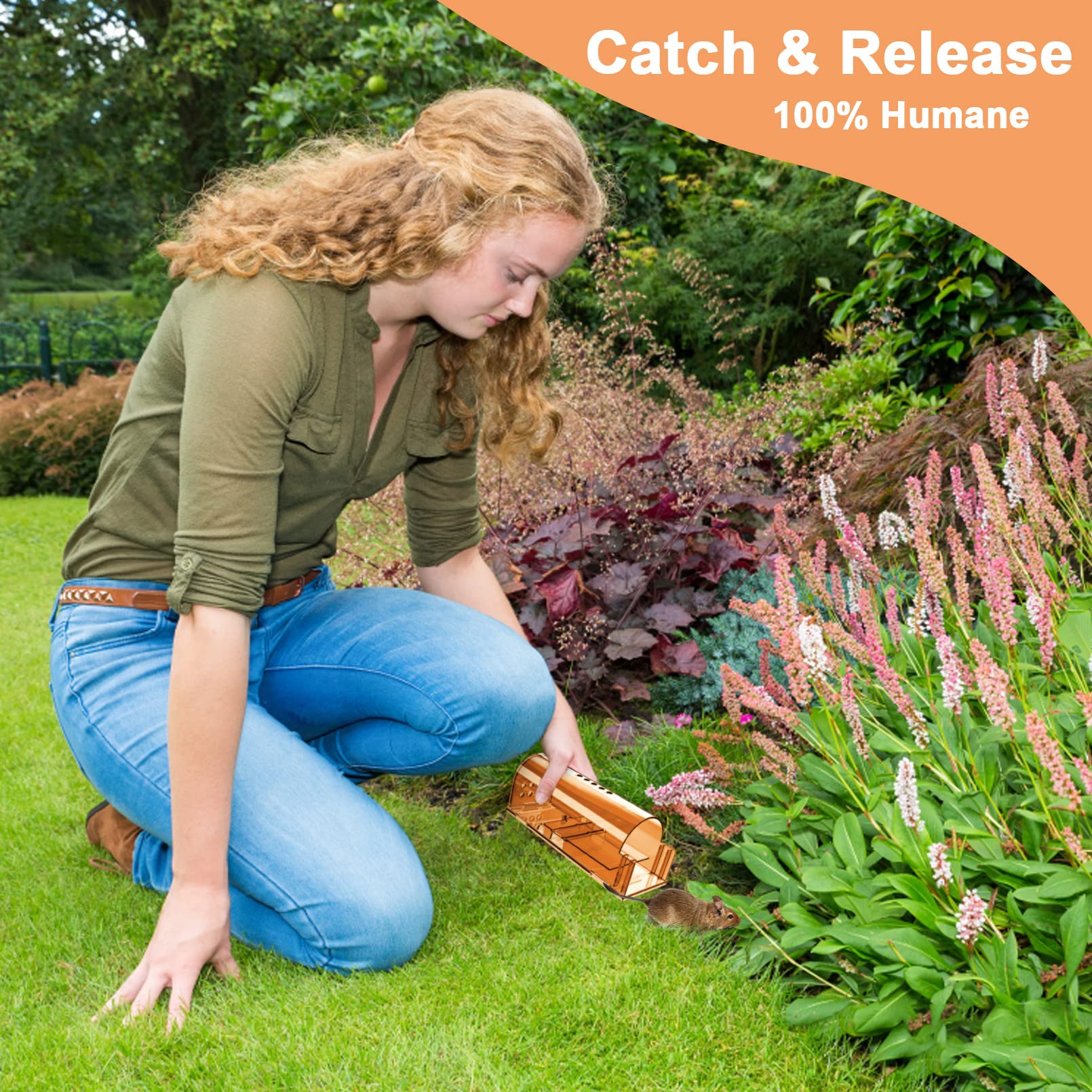 Wanqueen cleaning brush included for effortless maintenance after trapping.