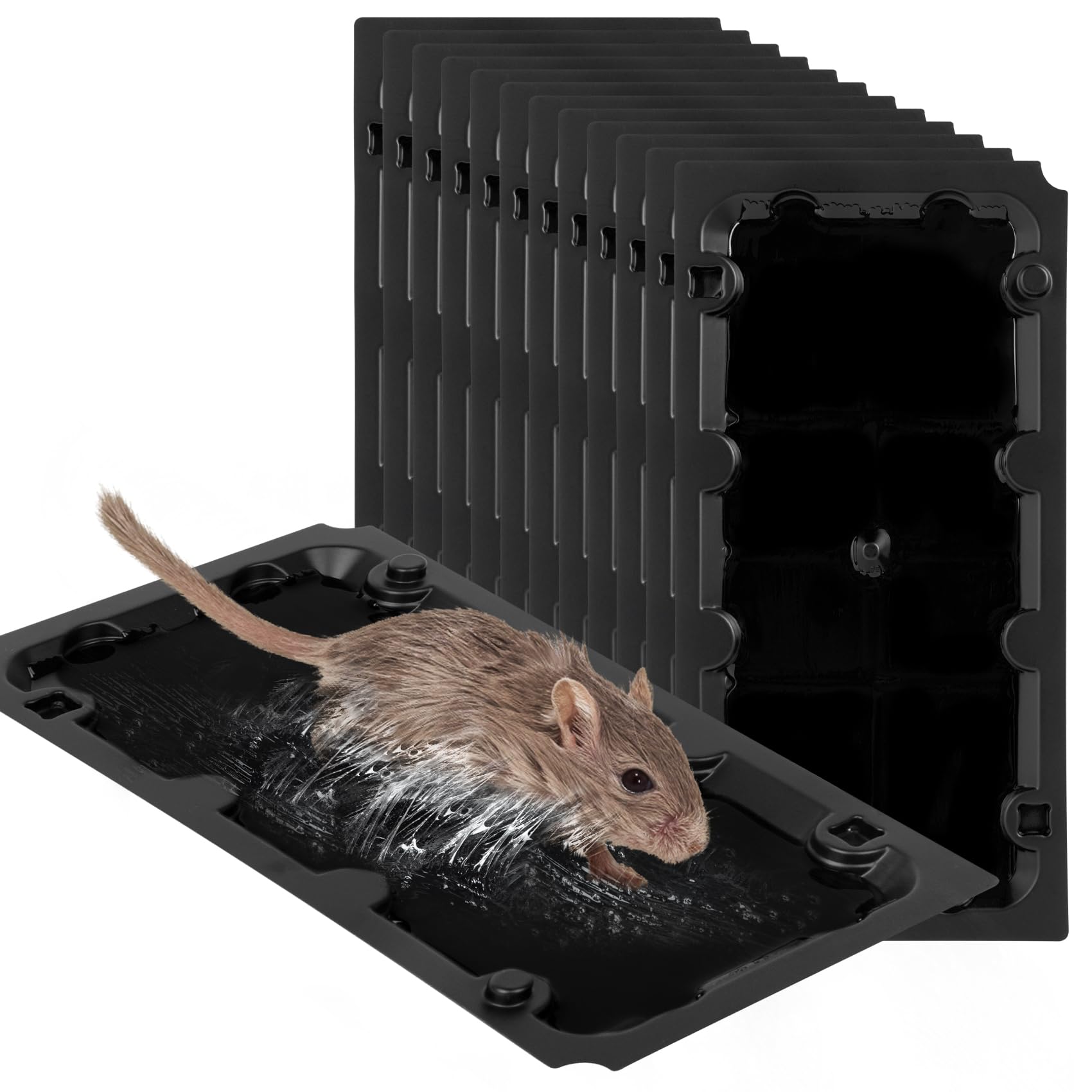 Wanqueen long-lasting sticky traps work across seasons and environments.