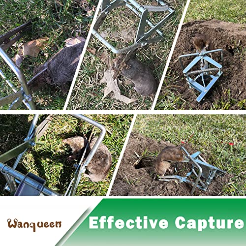 Wanqueen Mole Trap packaging-view reveals compact, ready-to-use kit for quick deployment.