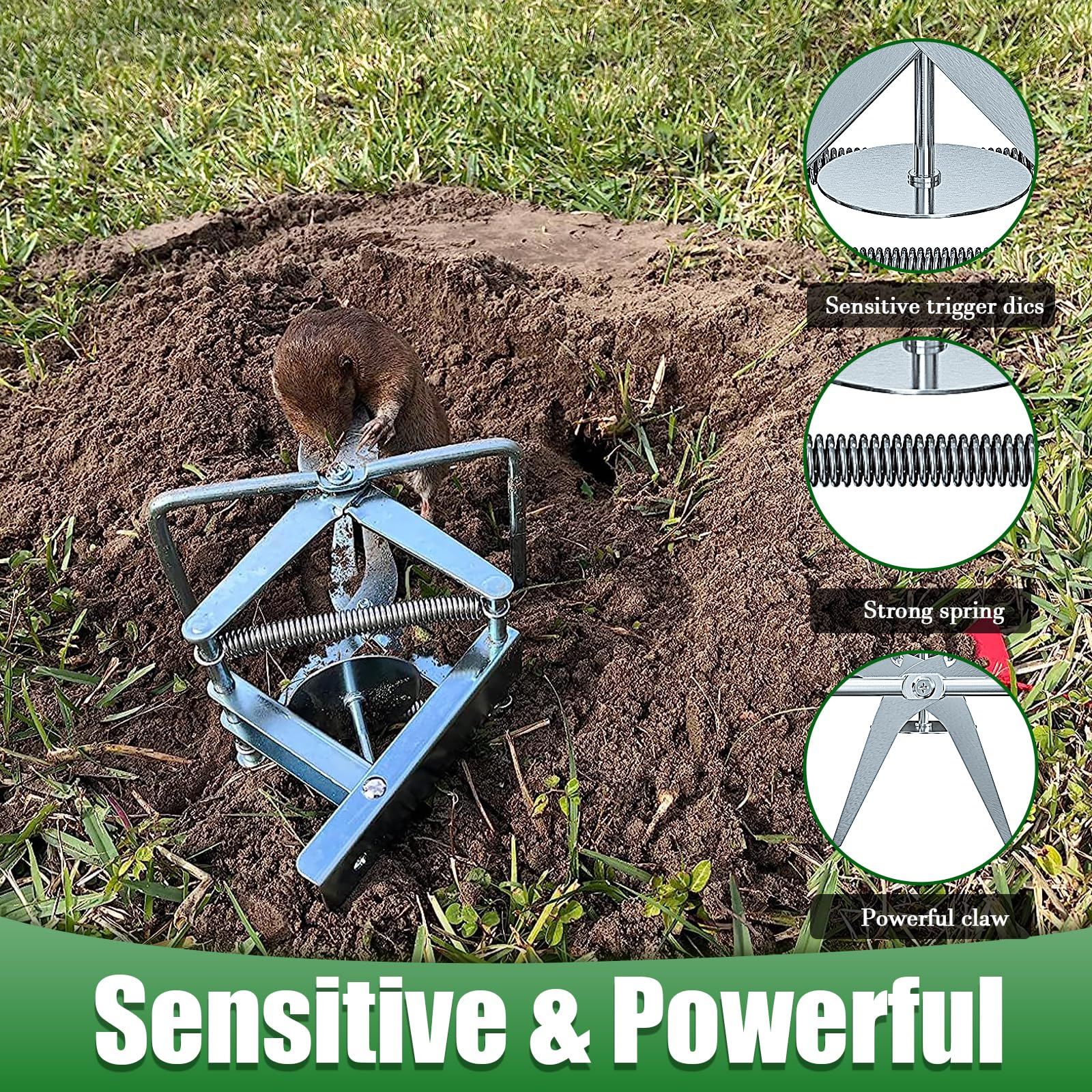 Wanqueen rain-proof mole trap; weather resistant in wet seasons.