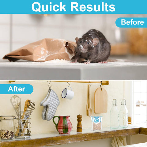 Wanqueen outdoor-use pouch on shed exterior for natural rodent deterrence.