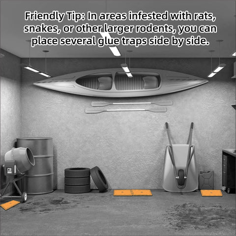 Wanqueen traps deployed across multiple locations to boost capture chances.