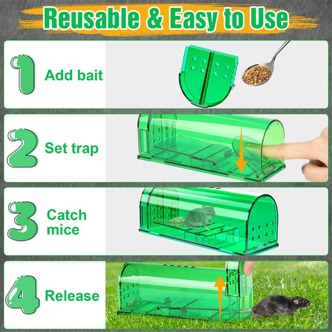 Wanqueen pet-safe setup around kids and pets thanks to bait-based lure.