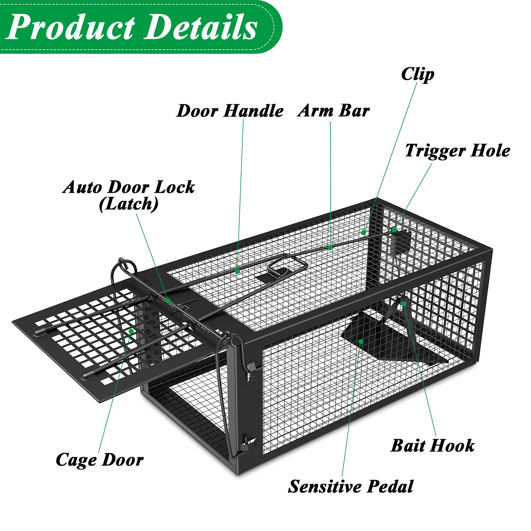 Wanqueen trap open with release area visible for humane relocation.