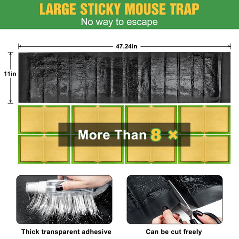 Wanqueen year-round glue trap remains effective in damp areas